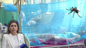 Pese a qué números de