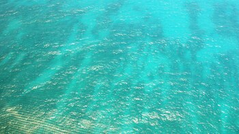 “Comiendo fragmentos de mar”: a