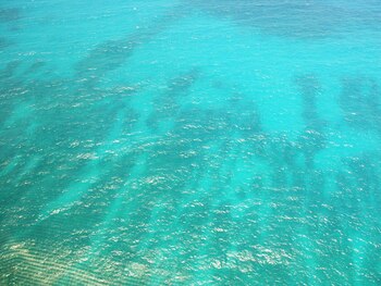 Aguas de La Caleta en