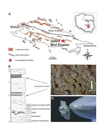 Las huellas en los Montes