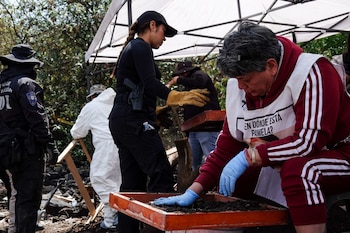 CIUDAD DE MÉXICO, 23ABRIL2024.- María del Carmen Volante, madre de G Guadalupe Pamela Gallardo Volante (desaparecida en 2017 en la carretera Picacho-Ajusco), encabezó por segundo día consecutivo la jornada de búsqueda de su hija en uno de los puntos del Ajusco, donde anteriormente ya fueron hallados restos oseos. En esta ocasión fue encontrado un hueso de mano por parte de elementos de la Fiscalía General de Justicia de la Ciudad de México (FGJCDMX) que ya acordonaron la zona. El próximo jueves 25 y viernes 25 de abril, la familia regresará para atender las labores con la esperanza de encontrar más indicios.
FOTO: GALO CAÑAS/CUARTOSCURO.COM