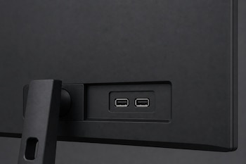 Dos puertos USB rectangulares situados en la parte trasera de color negro de un monitor de computadora.