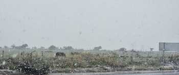 El SMN prevé que bajas