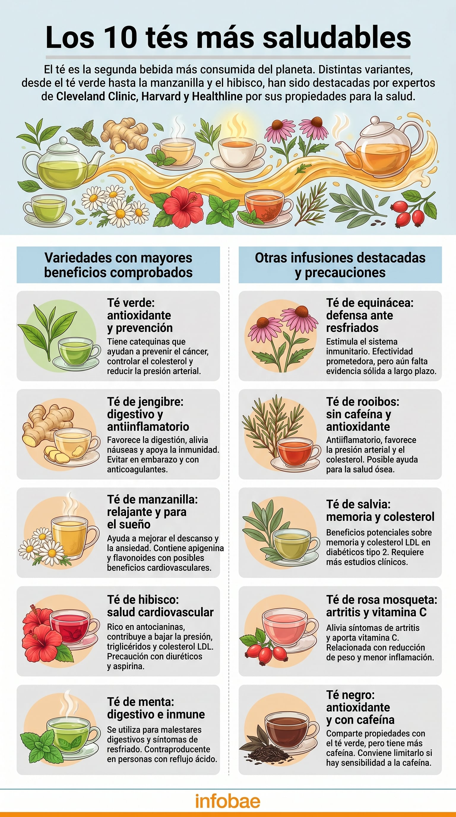 Las propiedades antioxidantes y antiinflamatorias de infusiones naturales han sido objeto de numerosos estudios en Harvard y Cleveland Clinic (Imagen Ilustrativa Infobae)