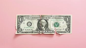 El comportamiento del dólar refleja un panorama volátil e incierto, marcado por factores locales e internacionales que influyen en el tipo de cambio y las expectativas económicas - (Imagen Ilustrativa Infobae)