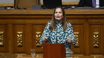 María Beatriz Martínez, ex diputada