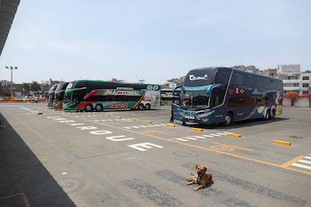 Buses interprovinciales