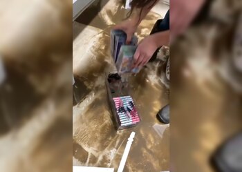 Estos fueron los estragos que