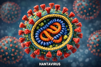 Vista microscópica del Hantavirus en primer plano, con protuberancias rojas en su superficie y material interno enrollado azul y naranja. Fondo oscuro con otros virus.