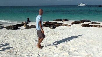 Andrés Salvatori en una de