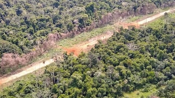 Pistas de aterrizaje clandestinas crecen