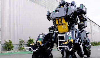 Se trata de un enorme