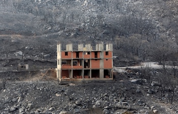 Bejaia quedó completamente arrasada (REUTERS/Ramzi