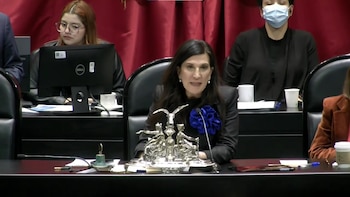 La legisladora considera prioritaria la