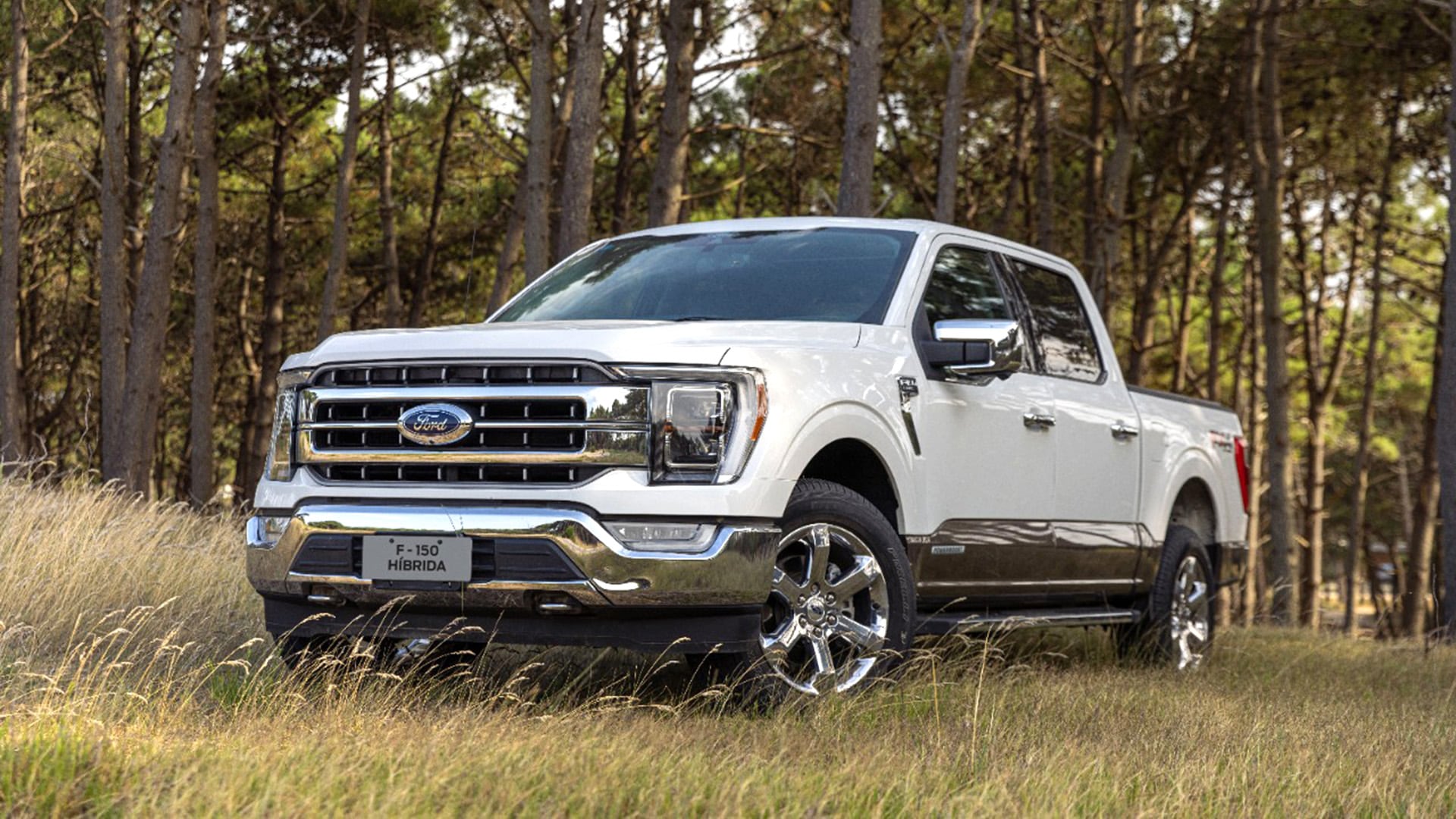 La Ford F-150 Hibrida llegó a Argentina en 2022 y fue la primera camioneta con electrificación en el mercado