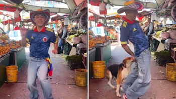 Joven que estaba bailando ‘Dai Dai’ de Shakira fue mordido por un perro: todo quedó grabado en video