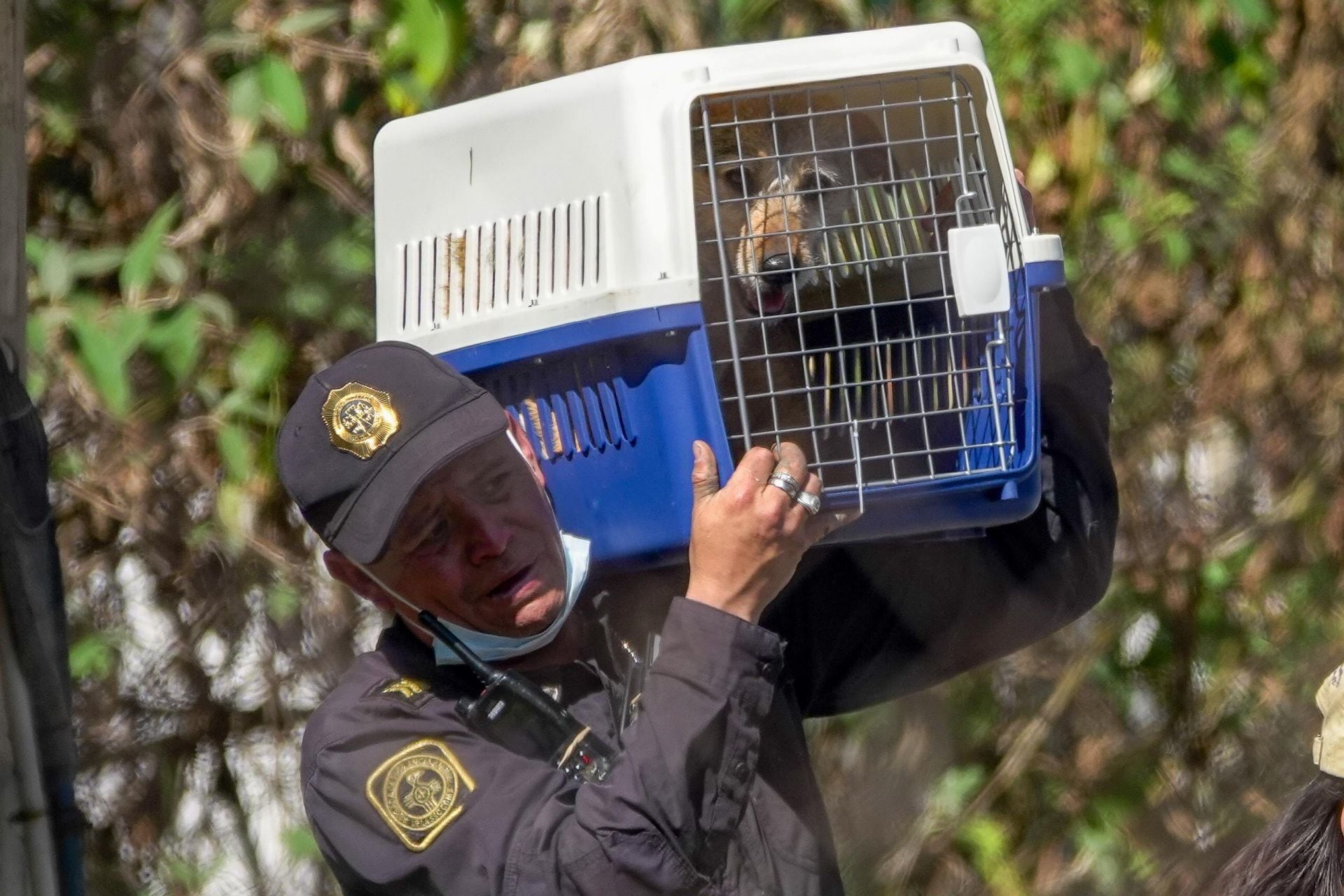 CIUDAD DE MÉXICO, 07ENERO2026.- Aspectos del desalojo del Refugio Franciscano, esto luego de diversas denuncias por supuesto maltrato animal. FOTO: ROGELIO MORALES /CUARTOSCURO.COM
