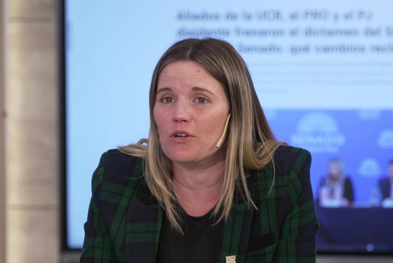 La diputada cuestionó a las entidades que otorgan créditos sin evaluar la capacidad de pago y planteó que el Estado investigue posibles situaciones de usura (Infobae en Vivo)