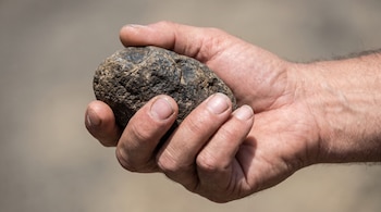Una mano humana de piel clara y uñas cortas sostiene una piedra oscura y rugosa. El fondo es un desenfoque de tonos neutros claros.