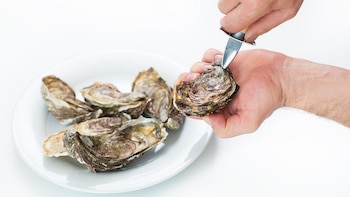 Brote de salmonela vinculado a