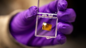 La computadora de la casa podría ser mil veces más rápida con un chip diseñado por las universidades de Michigan y de Wisconsin
