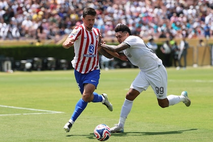 palmeiras in action