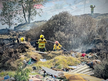 También existe la figura de