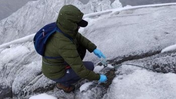 La autoridad exhortó a las