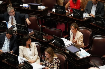 La senadora Royón rechazó la