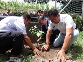 Japón ha ejecutado 459 proyectos comunitarios en El Salvador desde 1990, y la inauguración en Ilobasco reafirmó esa cooperación con la siembra de un maquilishuat. (Foto cortesía Embajada del Japón en El Salvador)