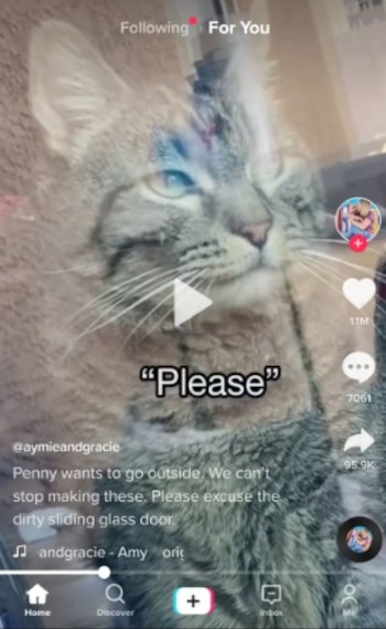 Videos en TikTok