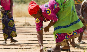Senegal restauró 850000 hectáreas aunque científicos advierten que la cobertura vegetal alcanzada es menor a la esperada tras años de trabajo (ONU)