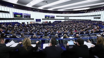 La Eurocámara aprobó el préstamo