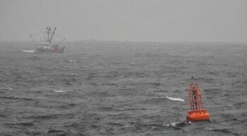 La ola gigante fue detectada