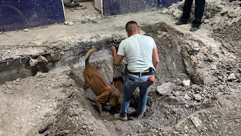 Se usaron binomios caninos. (Fiscalía