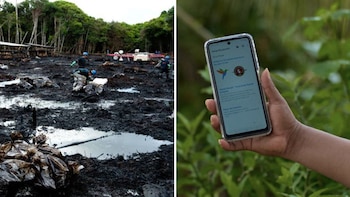Así funciona la primera app awajún que alerta en tiempo real sobre derrames de petróleo y violencia en la Amazonía peruana