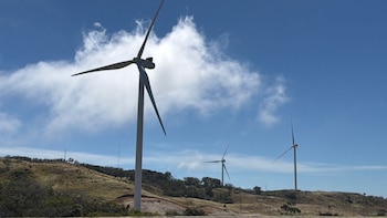 La planta, desarrollada junto a