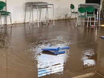 Los servicios de energía eléctrica