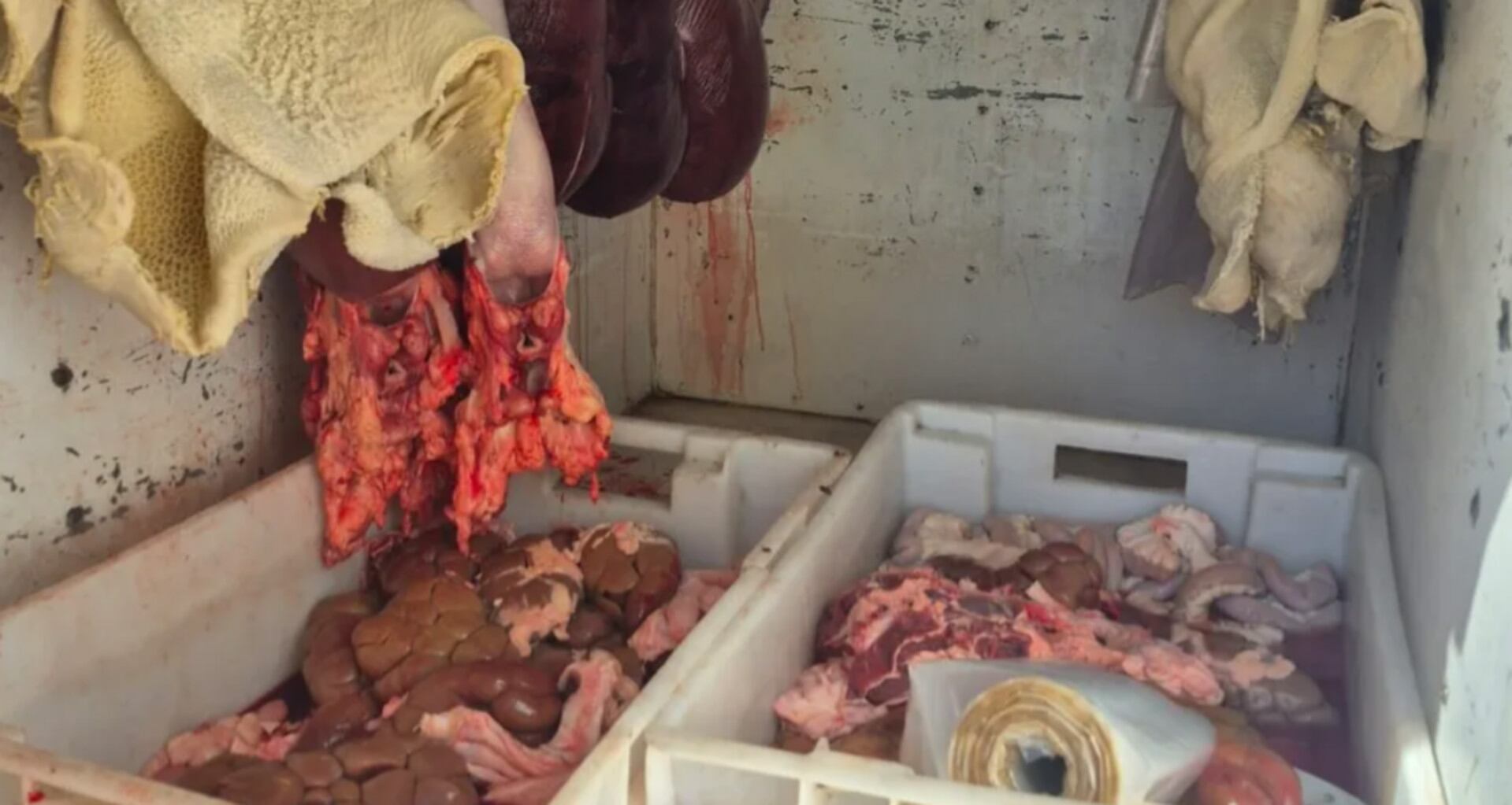 Decomisaron 92 kilos de carne que viajaban en una camioneta sin habilitación ni refrigeración en Mendoza (Los Andes)