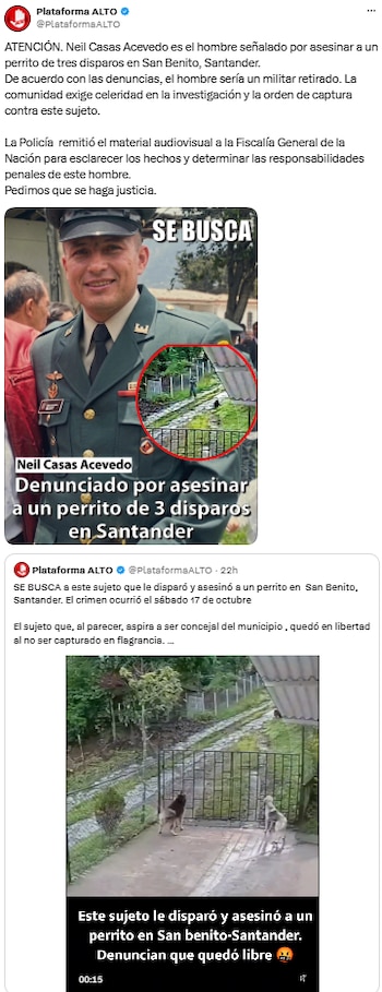 Investigan ataque a tiros contra un perro en San Benito, Santander - crédito @PlataformaALTO/X
