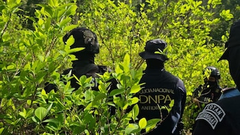 La DNPA reportó 432 kilogramos de cocaína decomisados durante el primer trimestre del año. (FOTO: Policía Nacional)