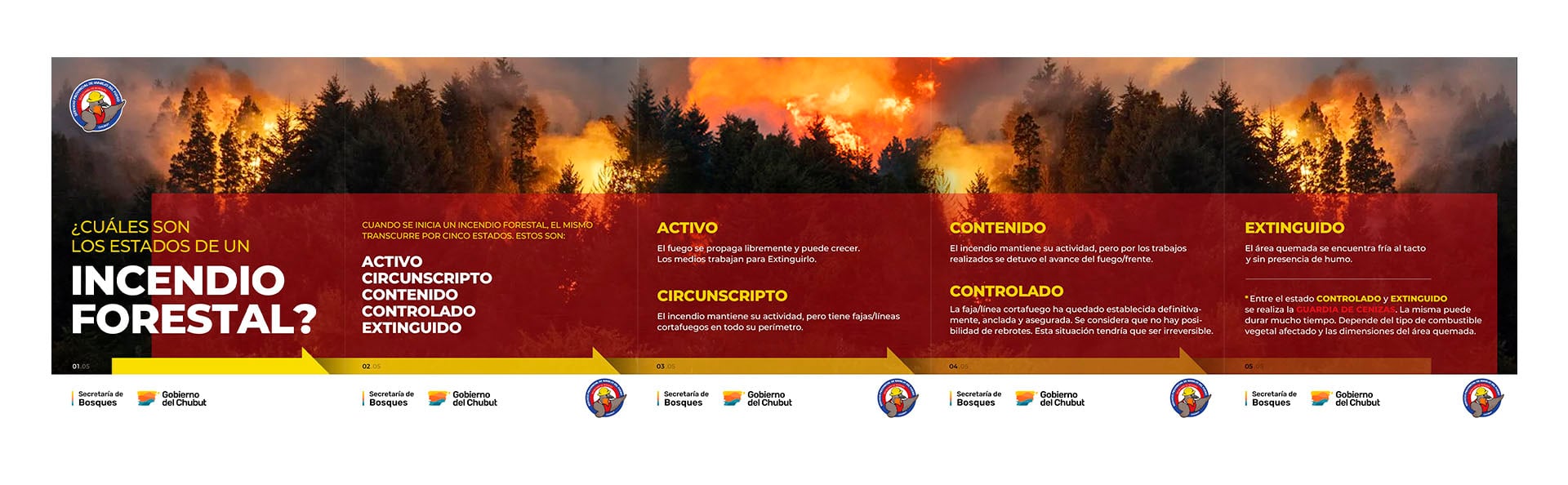 Los diferentes estados de un incendio forestal