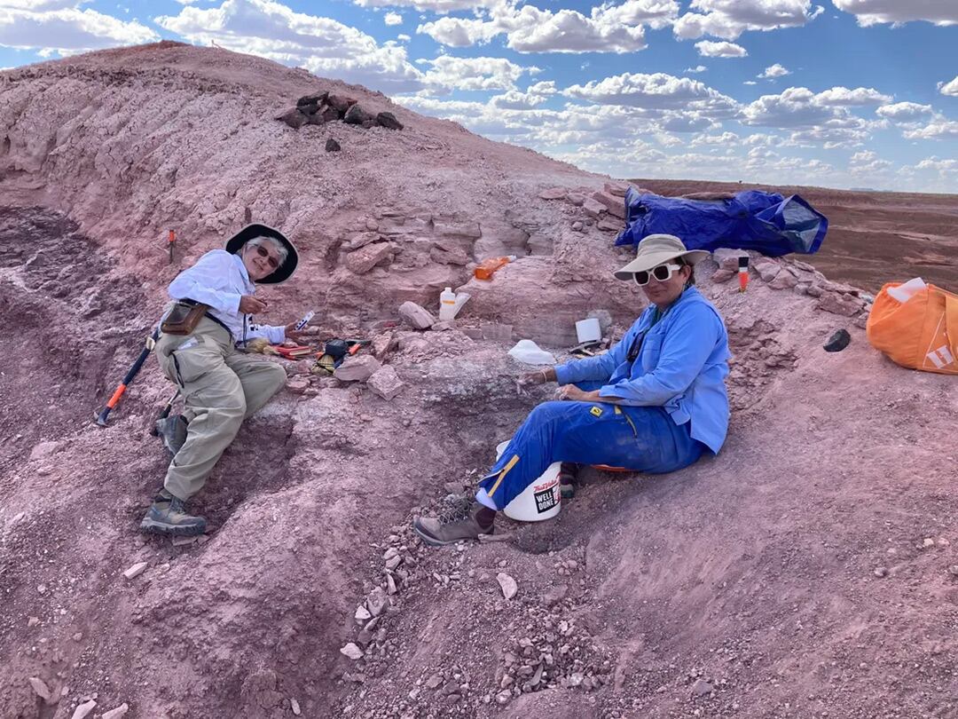 La ausencia de grandes depredadores terrestres en PFV 393 sugiere una ocupación diferenciada de ecosistemas en el Triásico (Ben Kligman/PNAS)