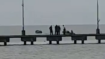 Muchos de los niños viajaron