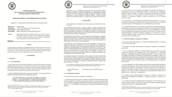 El fallo del Consejo de