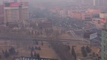 IAAF and Tokyo 2020 Focus