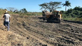 La dictadura cubana aprobó una ley que abre el acceso a tierras ociosas a extranjeros, mipymes y empresas privadas