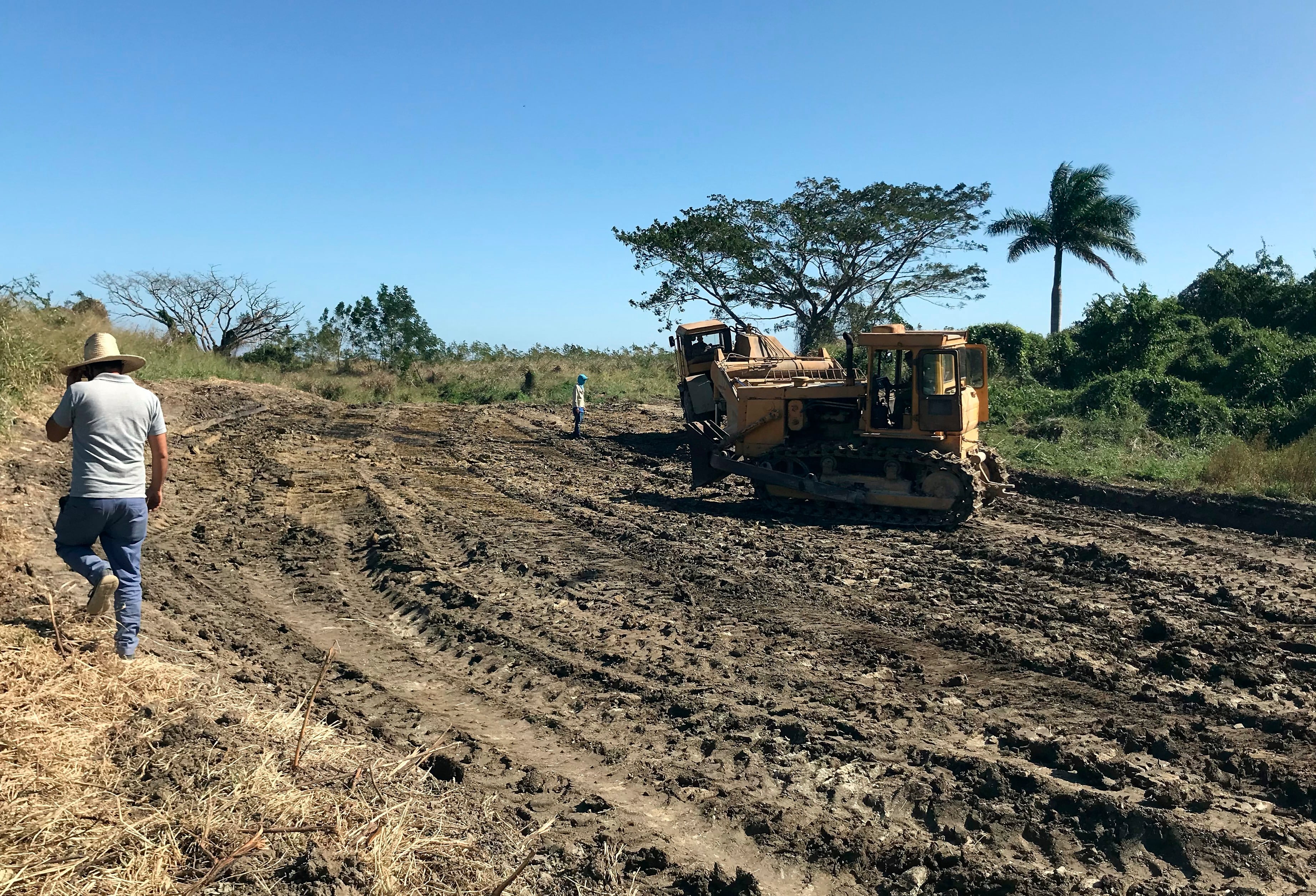 Cuba publicó la nueva Ley de Tierra Agropecuaria y Forestal (EFE/Wilfredo Prieto/Archivo)