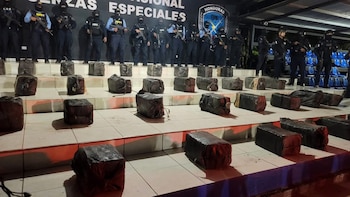 La droga habría sido ocultada y camuflada entre la vegetación para evitar ser detectada por las autoridades. (Foto: Policía Nacional)