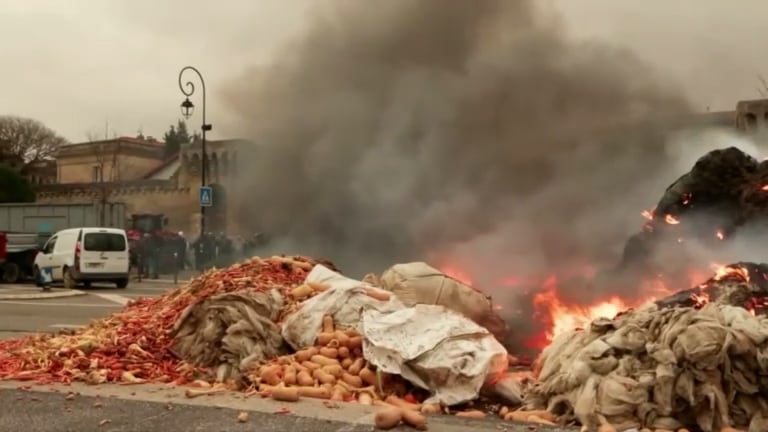 Más problemas para los ruralistas franceses: cortaron carreteras porque un virus afecta a su ganado y la ley los obliga a sacrificarlo